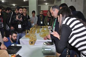 NDU NLC | Inter-School Competition 2017 20